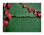 Composizione autunnale Composizione autunnale