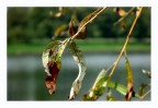 Autunno Autunno