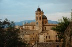 Urbino