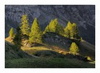 Settembre Settembre