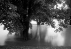 l'acqua l'acqua