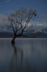 Wanaka Wanaka