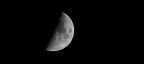 moon moon