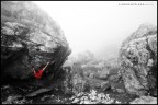 BLDR|frog in the fog BLDR|frog in the fog