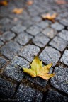La fine di un ciclo ... La fine di un ciclo ...