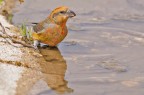 Crociere Crociere