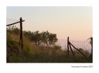 L'avamposto L'avamposto