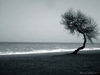 Il mare d'inverno Il mare d'inverno