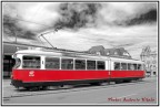 Vienna Vienna