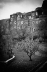 Pinhole Pinhole