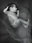 dreams dreams