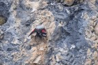 picchio muraiolo picchio muraiolo