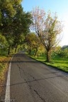 E la strada sale... E la strada sale...