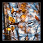 reportage anno 2009
http://www.photo4u.it/viewcomment.php?t=412576