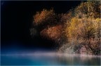 Colori, nebbie e luci... Colori, nebbie e luci...