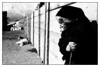 s.benedetto in perillis (aq) - kodak tri-x 400 s.benedetto in perillis (aq) - kodak tri-x 400