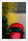 Autunno urbano Autunno urbano