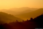 Alba Alba