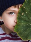 tra i verdi d'autunno tra i verdi d'autunno