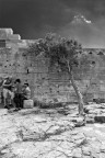Lindos (Rodi) Lindos (Rodi)