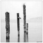 Primo classificato....