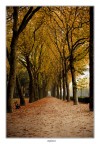 Autumn in...Brussels 2 Autumn in...Brussels 2