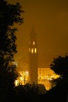 Tra i rami Tra i rami