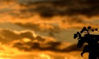 tramonto tramonto