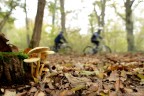 Uomo e natura Uomo e natura