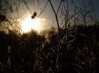 Sole d'autunno Sole d'autunno