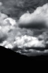 La conoscenza naturale La conoscenza naturale