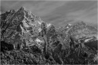 Semplice BW Semplice BW