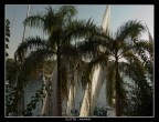 Palme e vele Palme e vele