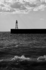 Un panorama marino Un panorama marino