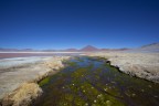 Bolivia Laguna colorada panorama