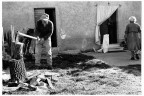 coccodrillo (ri) 2010 - fuji neopan 400 coccodrillo (ri) 2010 - fuji neopan 400