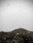 Rain Rain