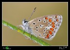 Su National Geographic.it Su National Geographic.it