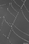 Il gioco delle perle di vetro Il gioco delle perle di vetro