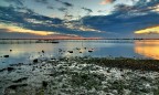 Laguna H Laguna H