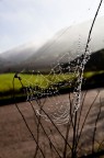 perle d'acqua perle d'acqua