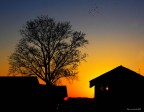 tramonto tramonto
