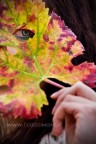 Autunno - Ele Autunno - Ele