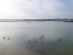 isola s.antonio-2