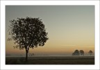 Colori di un mattino Colori di un mattino