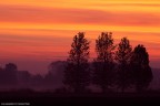Alba Alba