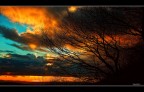 Colors Colors