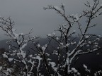 E' arrivato l'inverno E' arrivato l'inverno