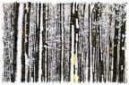 La Prima Neve La Prima Neve