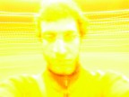 In giallo In giallo